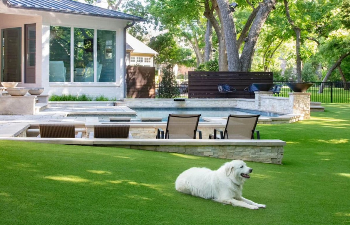 Pet Turf / Dog Turf Systems service in Jackson, MS